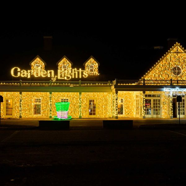 gardenoflights2024-01.jpg