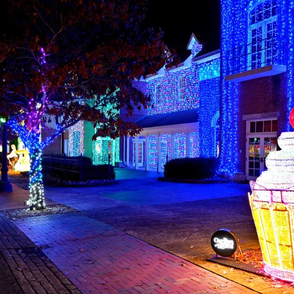 gardenoflights2024-04.jpg