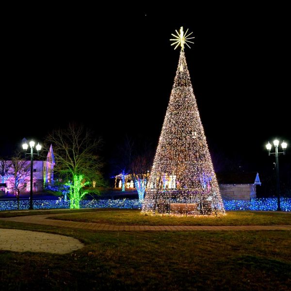 gardenoflights2024-09.jpg