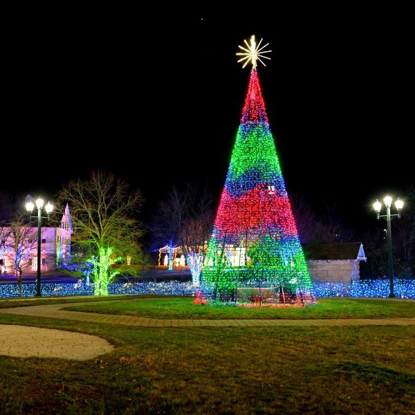 gardenoflights2024-10.jpg
