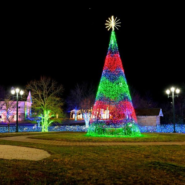 gardenoflights2024-11.jpg