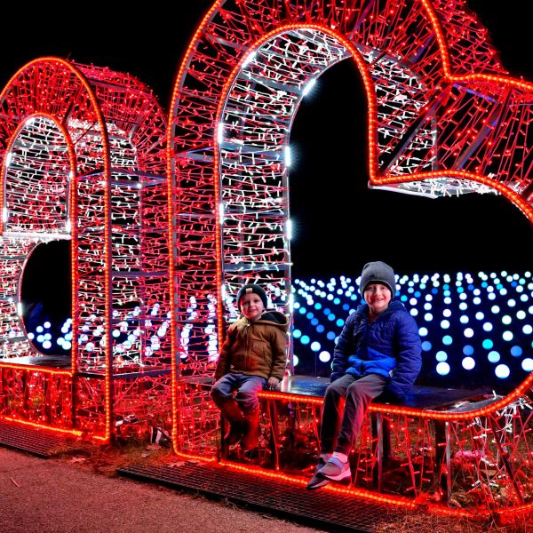 gardenoflights2024-12.jpg