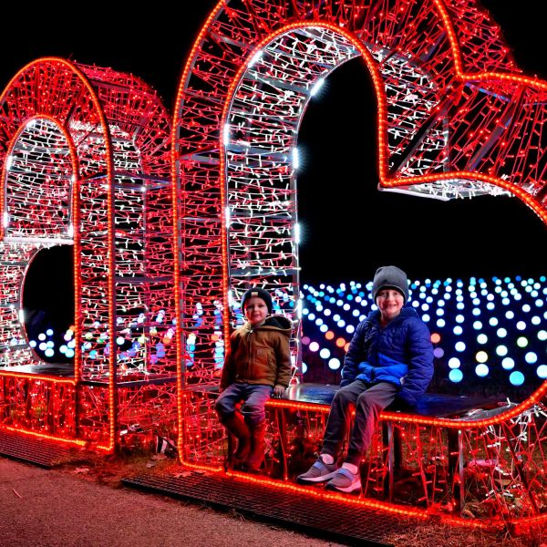 gardenoflights2024-13.jpg