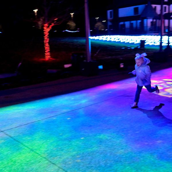 gardenoflights2024-15.jpg