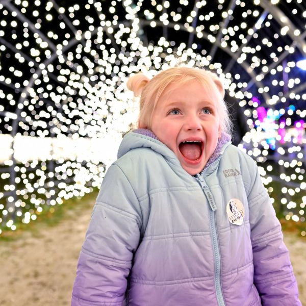 gardenoflights2024-22.jpg