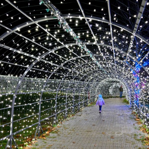 gardenoflights2024-27.jpg