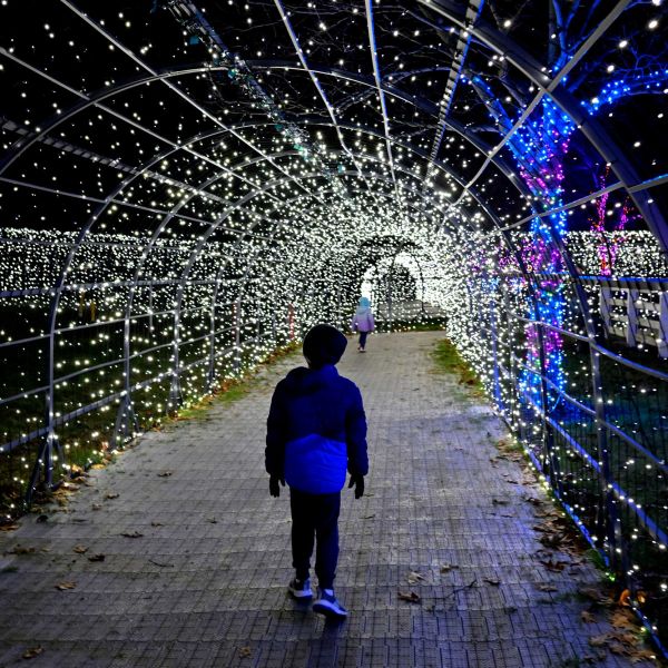 gardenoflights2024-29.jpg