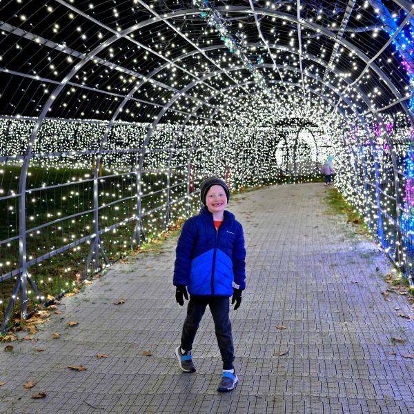 gardenoflights2024-31.jpg