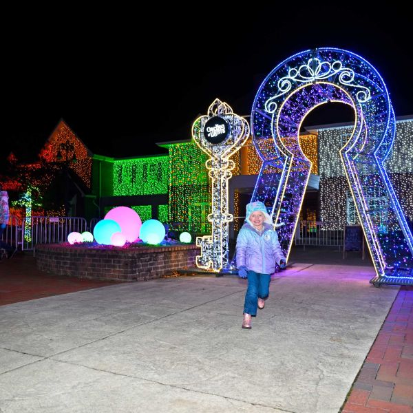 gardenoflights2024-36.jpg