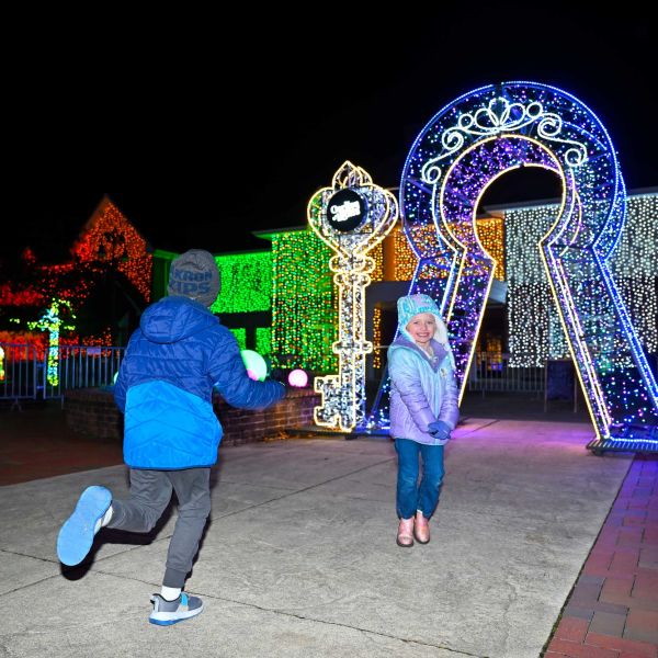 gardenoflights2024-37.jpg