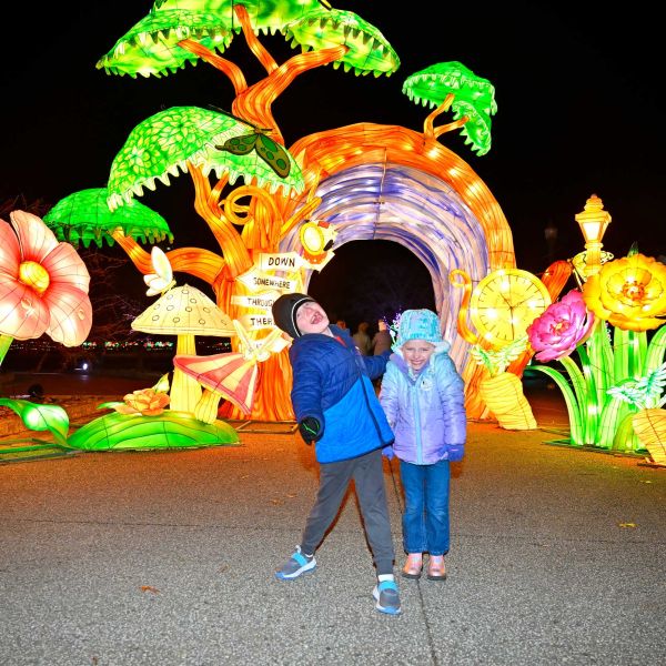 gardenoflights2024-41.jpg