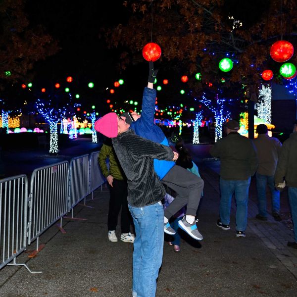 gardenoflights2024-46.jpg