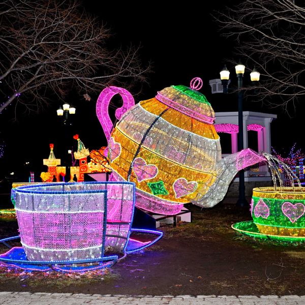 gardenoflights2024-51.jpg