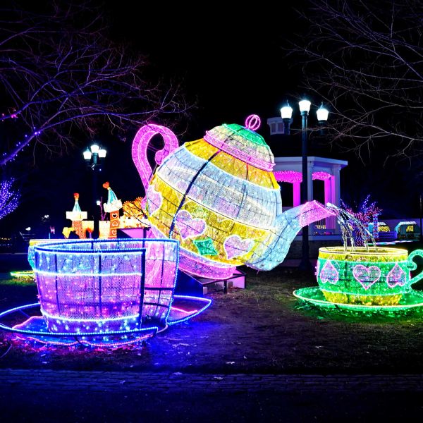 gardenoflights2024-52.jpg