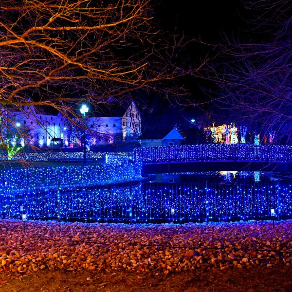 gardenoflights2024-54.jpg