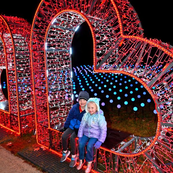 gardenoflights2024-63.jpg