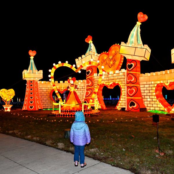 gardenoflights2024-76.jpg