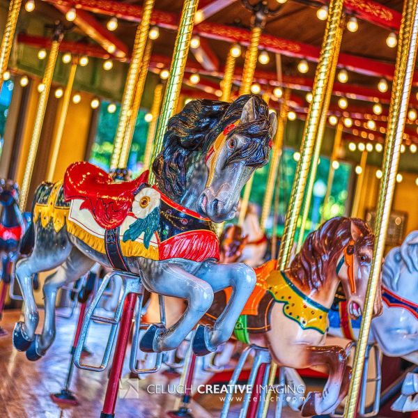 tuscora-carousel-horse_001.jpg
