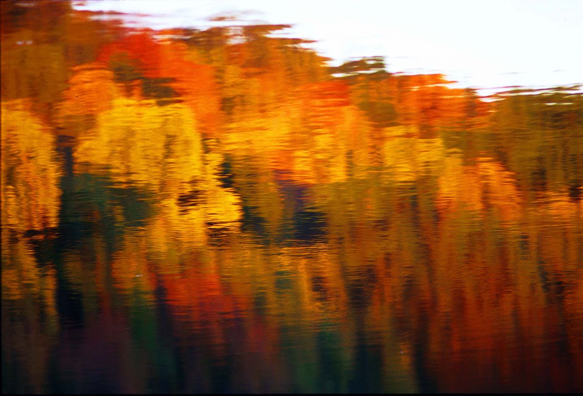 clendening-fall-leaves-in-water.jpg