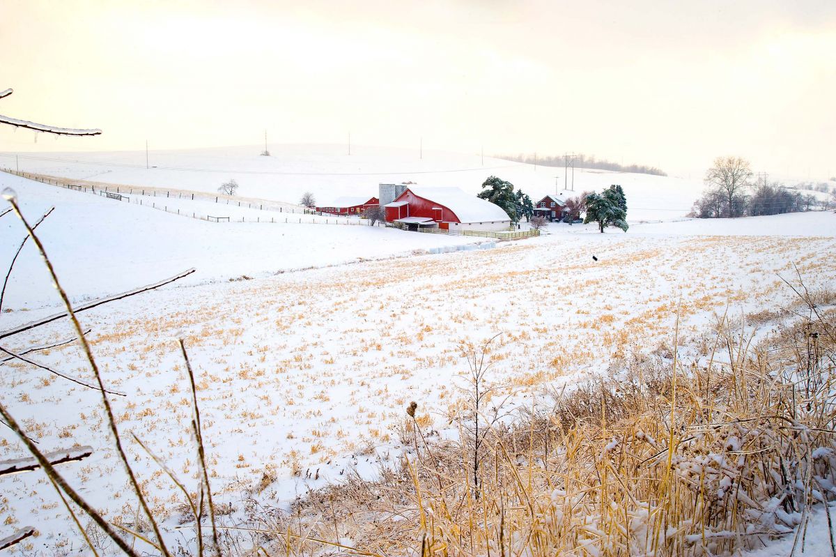 sugarcreek-doran-widder-farm-snow.jpg